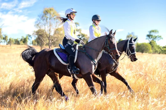 Endurance riding