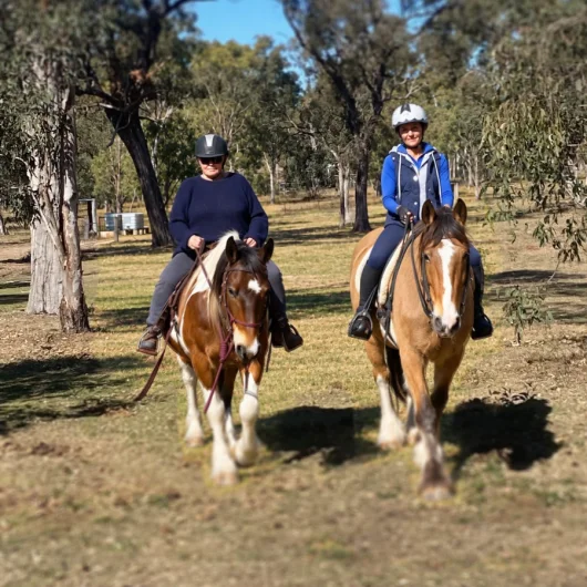 Training people and horses